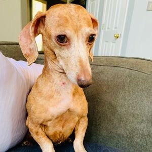 Meet your Posher, Karielle